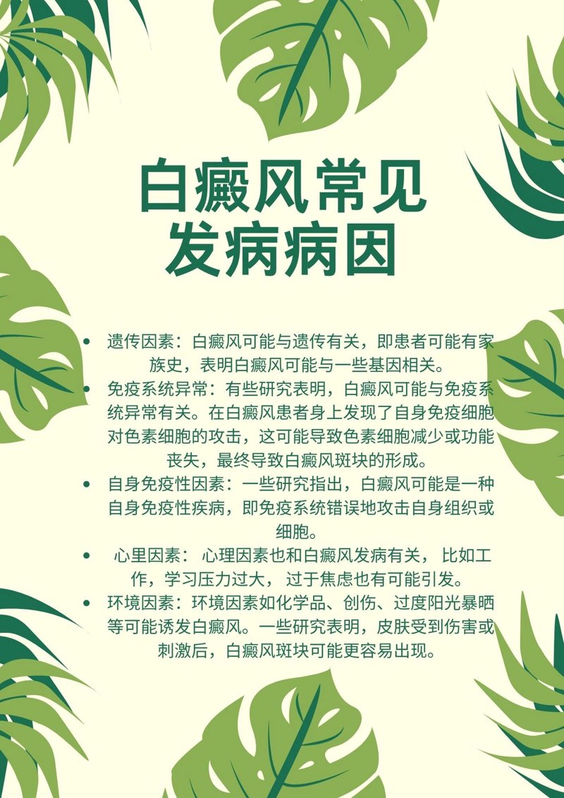 技术代理